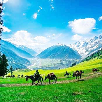 Sonmarg